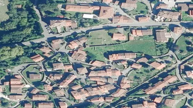 Poo