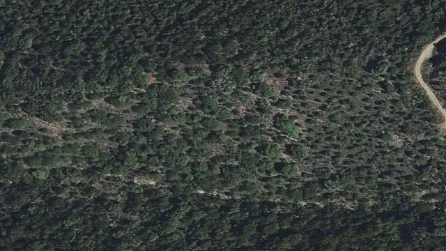 Polígono 505, Parcela 809, Paraje Rupitín