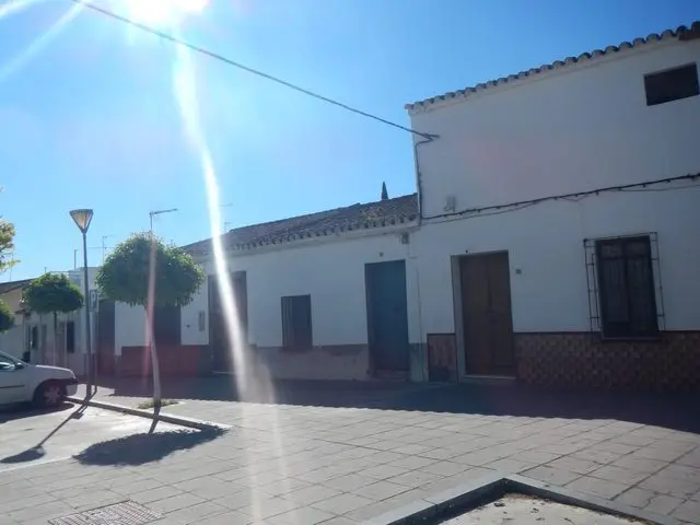 Calle Feria, 15