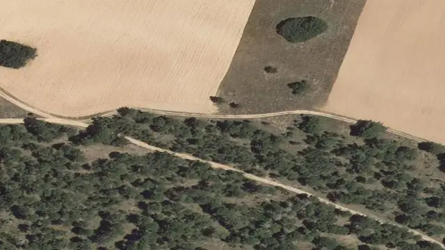 Polígono 21, Parcela 5009, Paraje Pedujales de