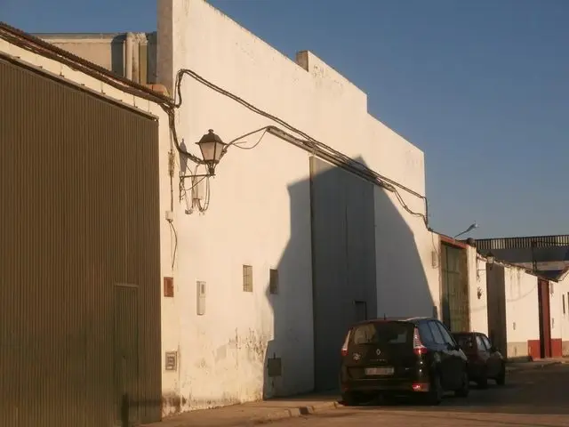 Calle Palma