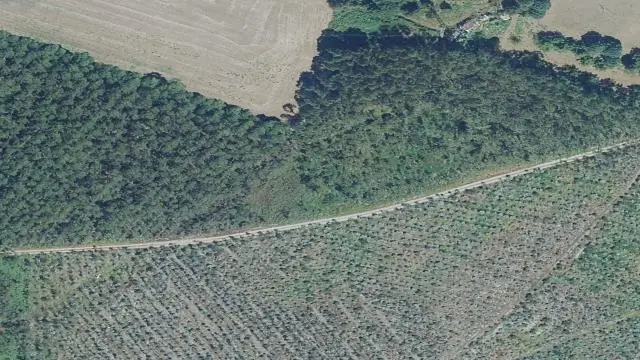 Polígono 4, Parcela 196