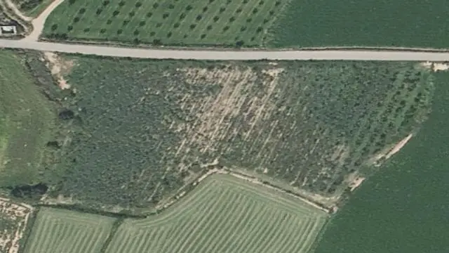 Polígono 38 Parcela 21 el Plano. la Almunia de Doña Godina (Zaragoza)