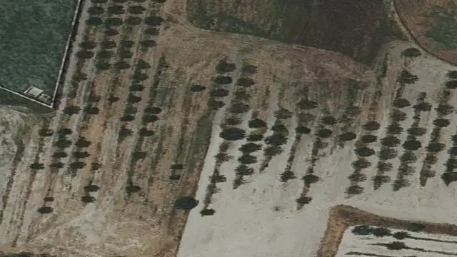 Travesía Corredera, 1. Javalí Viejo