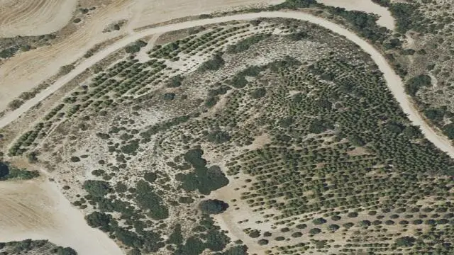 Polígono 15, Parcela 861, Paraje Mojón de Anchuelo