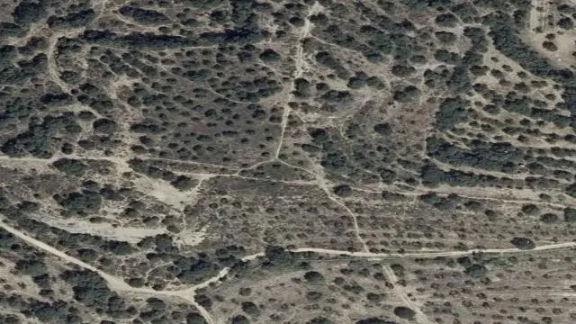 La Jarea