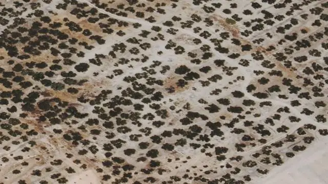 Finca Rústica en el Paraje los Llanos y Dehesa Vieja de Villargordo
