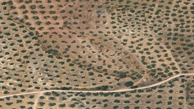 Cabeza Gorda y la Carrasca, Paraje Vado Fresno y Víboras
