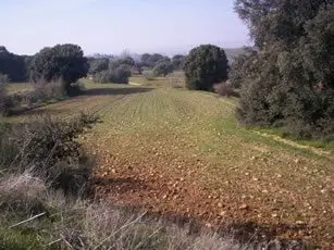 Camino Villanueva, 447