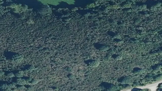 Lugar Tamargo