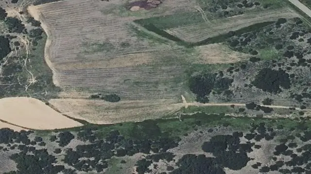 Polígono 21, Parcela 117, Paraje Tras Aguas