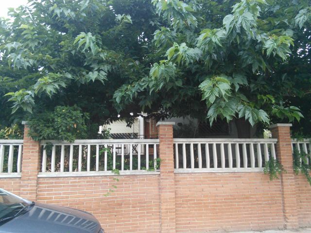 Calle Pla del Bosc 5
