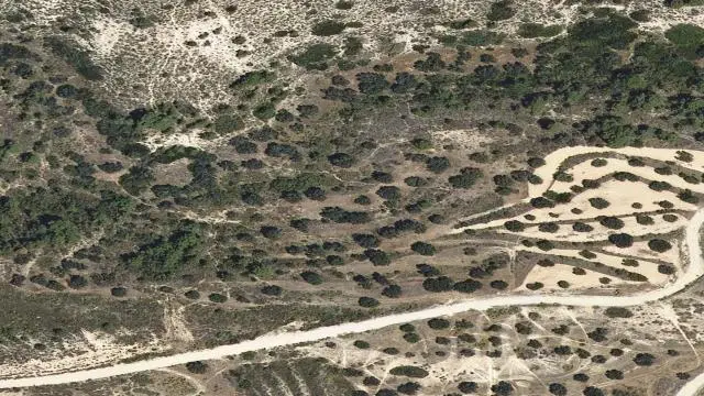 Partida Camino Viejo