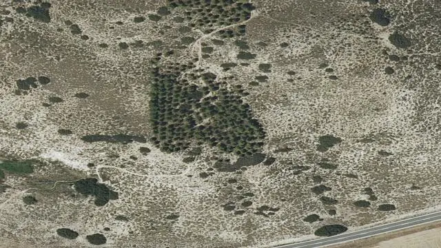Polígono 6, Parcela 793, Paraje de la Muela