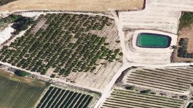 Partida "Fondo de las Viñas O Planot"