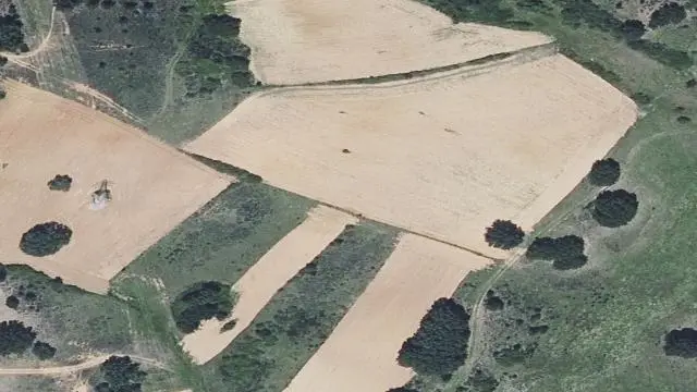 Polígono 22, Parcela 503, Paraje Corrales