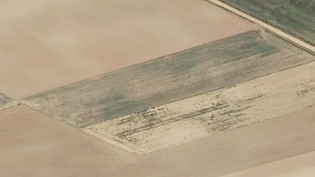 Carboneros