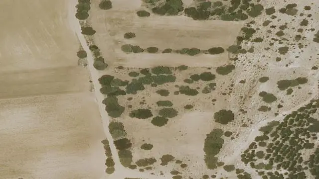 Polígono 513, Parcela 85, Paraje la Ladera
