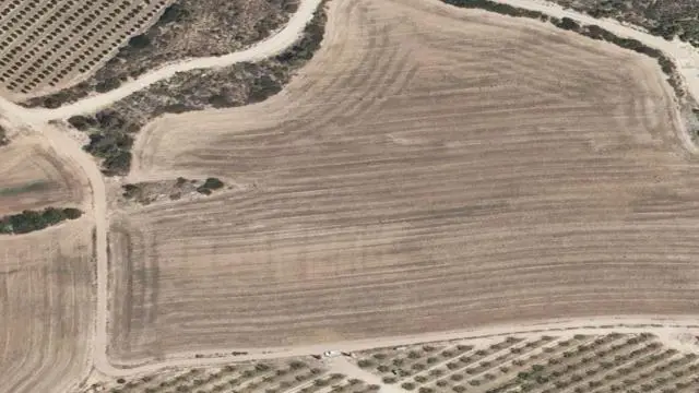 Campo de Olivar, Segunda en Término