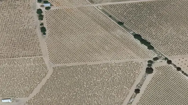 Pa Canto Grande 0, 13710 Argamasilla de Alba
