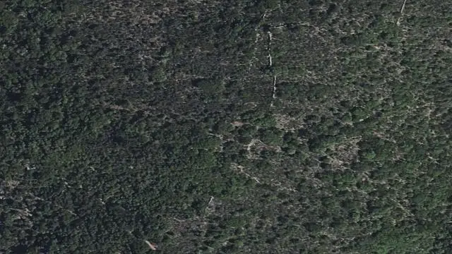 Polígono 513, Parcela 1266, Paraje los Rosales (y 1 Finca Más)
