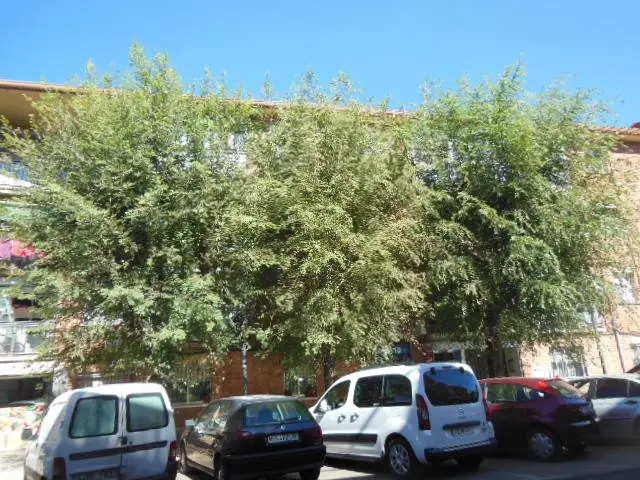 Carretera de Alovera, 25, Bajo Izda