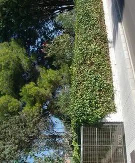 Calle Lepanto 7