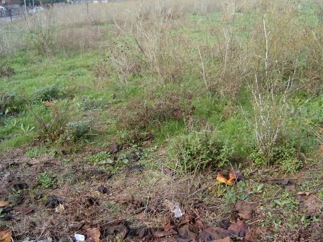 Calle Carrasco Formiguera 30 Suelo