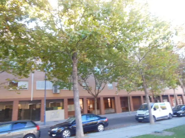 Cl Alcalde Pedro Gonzalez Gz 11, -2, 99 28914