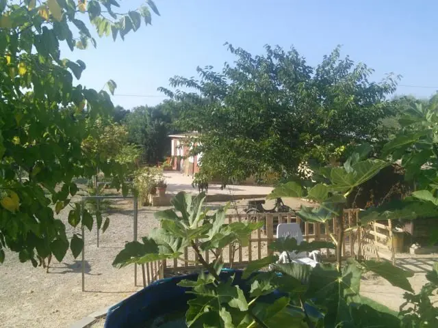 Calle Venus, 13
