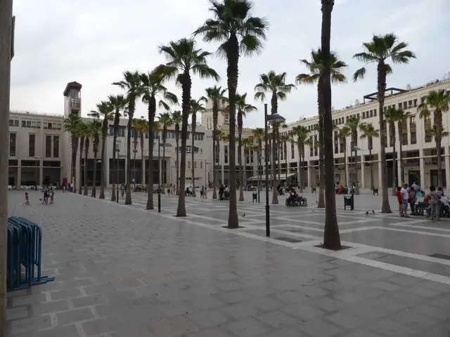 Calle Cervantes, 66, Planta Bajo