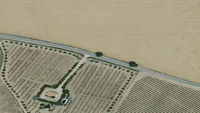 Camino Campo