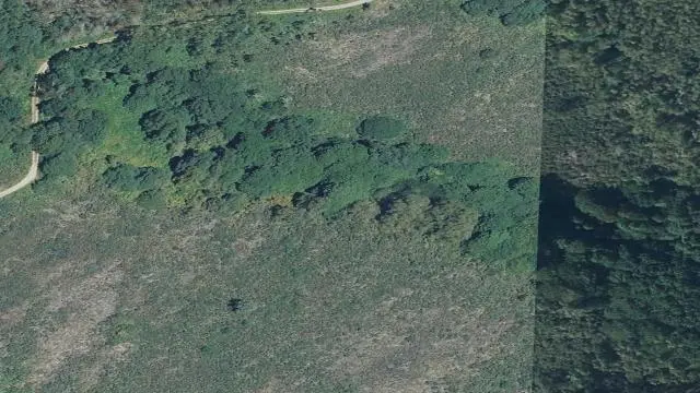 Polígono 1, Parcela 50, Paraje Trozo Das Veneiras