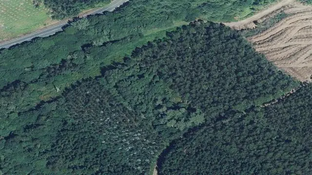 Polígono 3, Parcela 315, Paraje Coroas