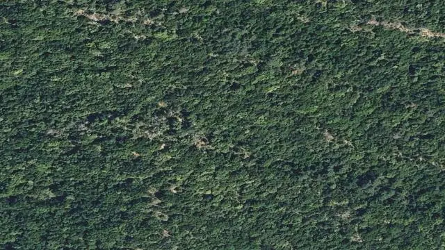 Carretera de la Canya a Camprodon, Pk. 65,050 de la C-153