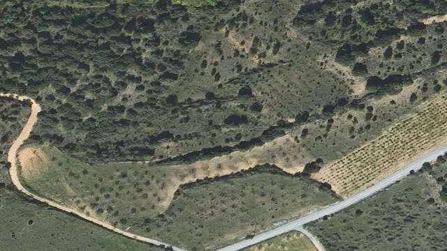Polígono 101, Parcela 236, Paraje Val Vieja