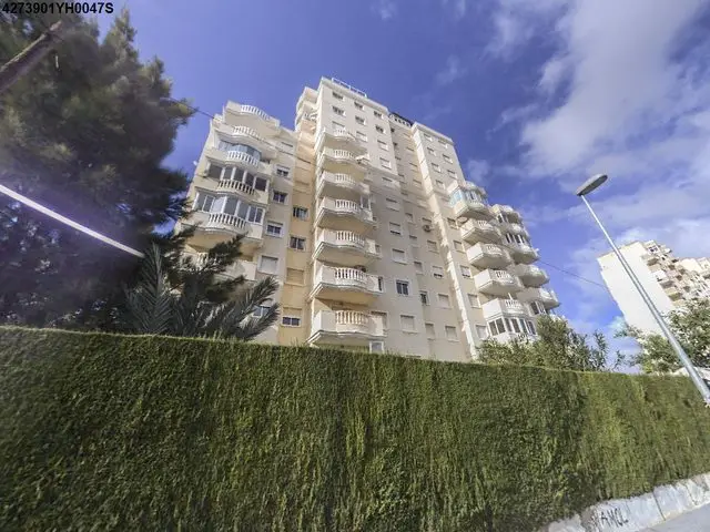 Calle Joven Pura