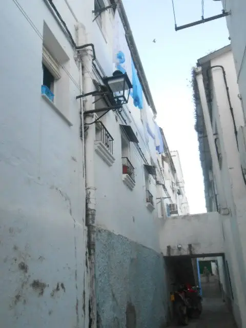 Calle Paloma, 5