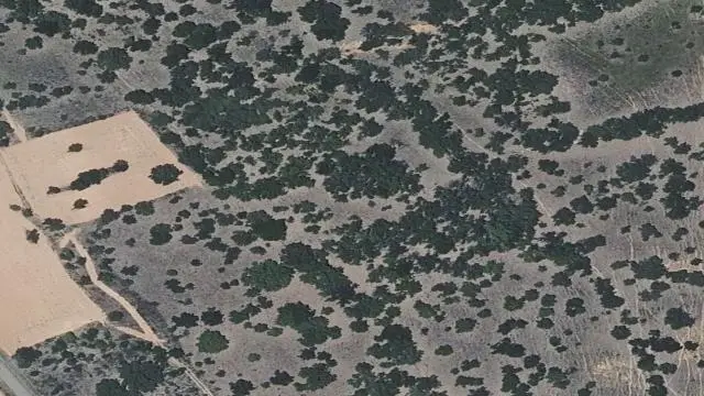 Polígono 21, Parcela 335, Paraje Cotada