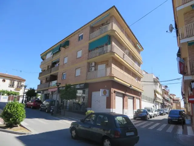 Calle Felix Rodríguez de la Fuente, 30