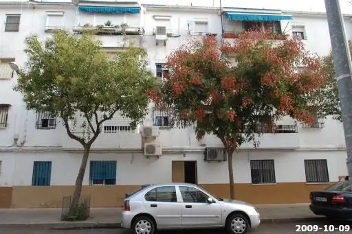 Calle Sauce, 8