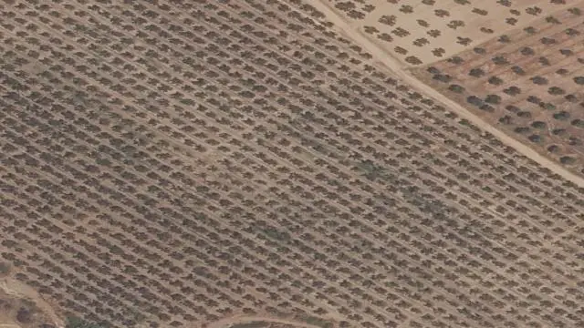 Dehesa "el Gamero"