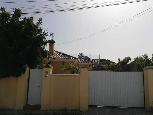 57791 100% Pd Cg Pto1