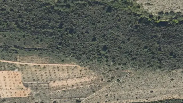 Polígono 101, Parcela 84, Paraje Cabañuel