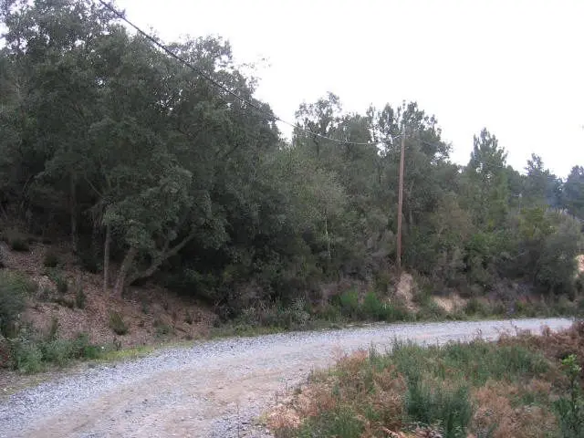 Calle Puig-Perdigolet, 10