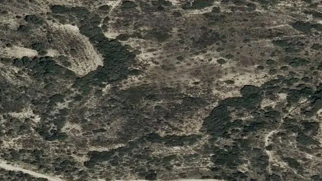 Polígono 8, Parcela 184, Paraje el Mon