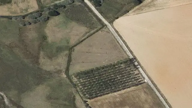 Polígono 506, Parcela 121, Paraje Paraje Brezal
