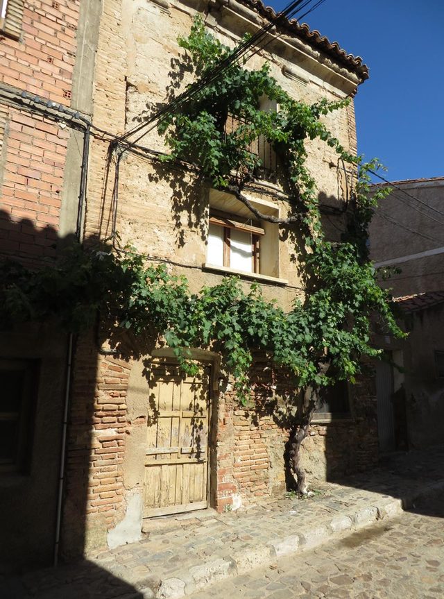 Calle Grajera, 75