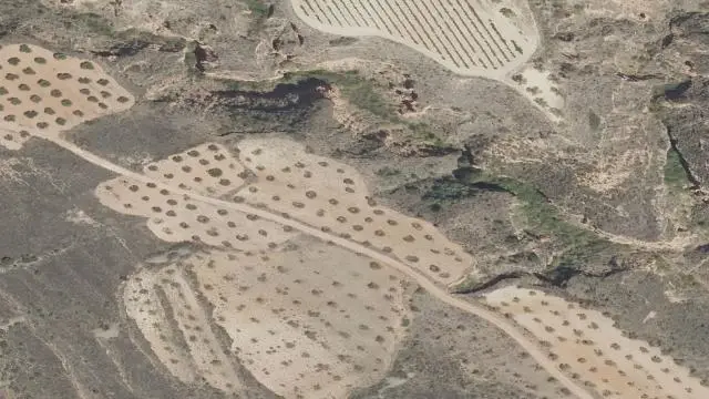 Lugar la Plana