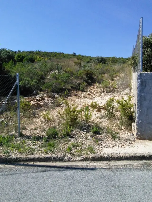 Calle Sauce 1